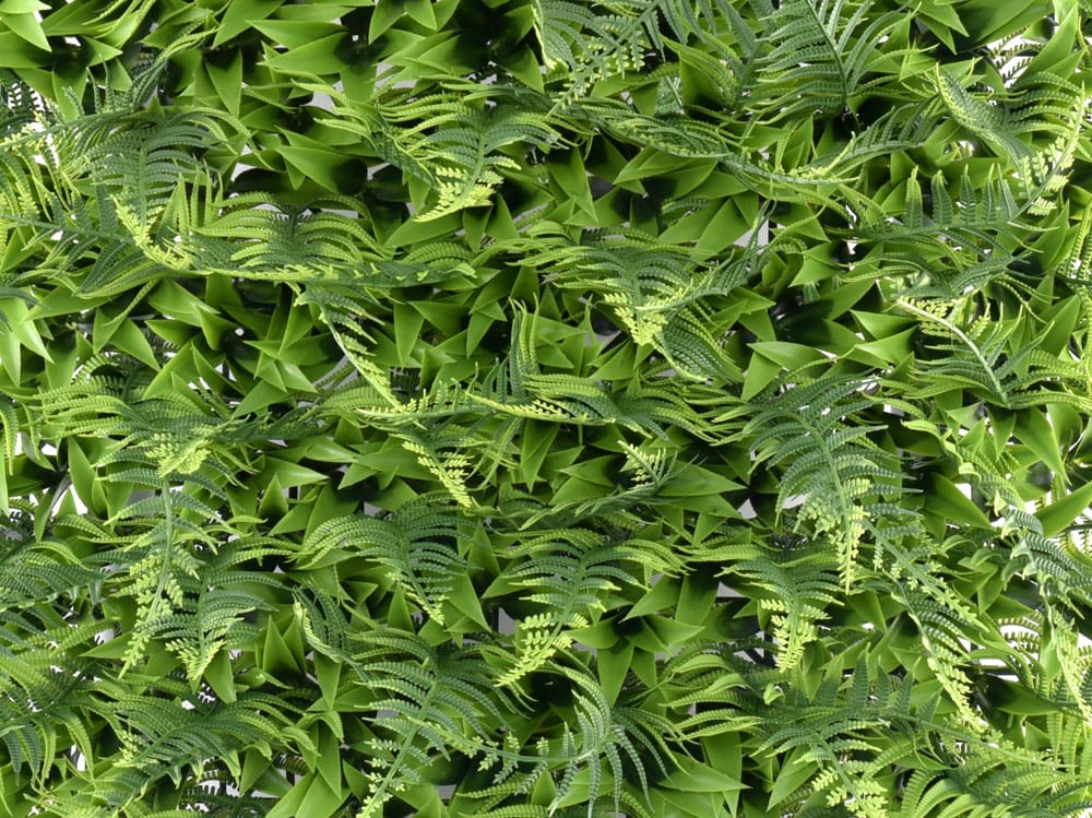 Farn Busch Kunsthecke detail Farn Busch Kunsthecke detail