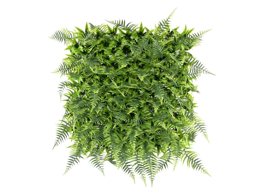 Farn Busch Kunsthecke Farn Busch Kunsthecke
