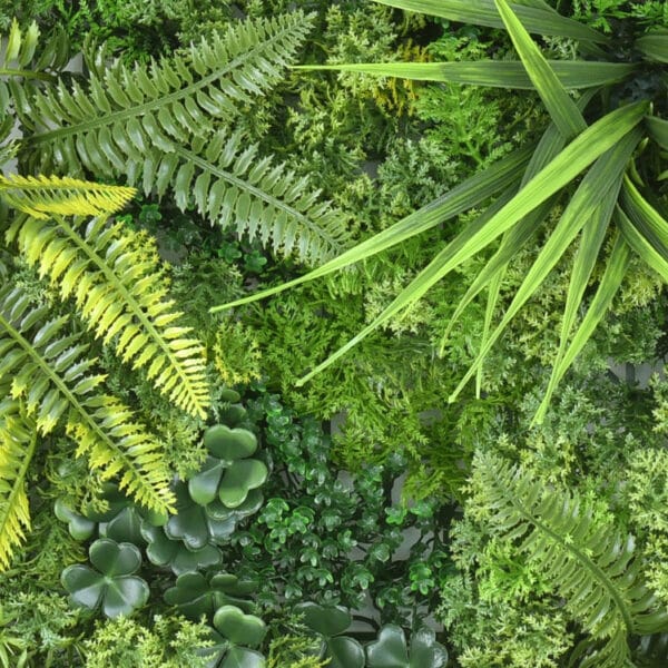 Moos Farn Flora Kunsthecke detail