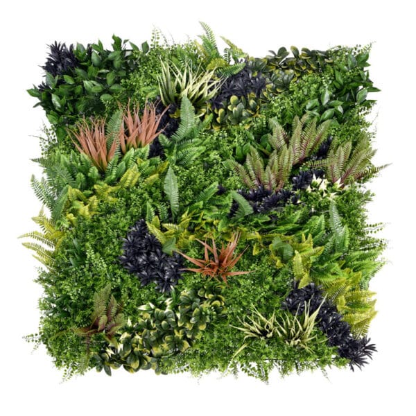 Linaria Grau Farn Pflanzenwand