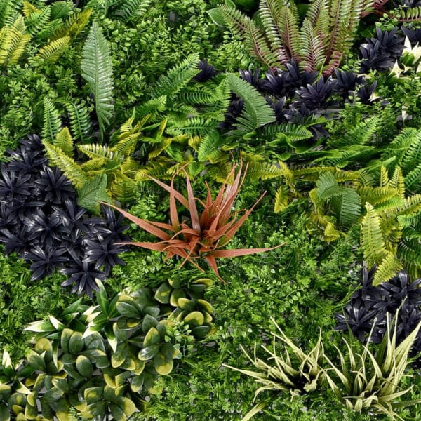 Linaria Grau Farn Pflanzenwand detail