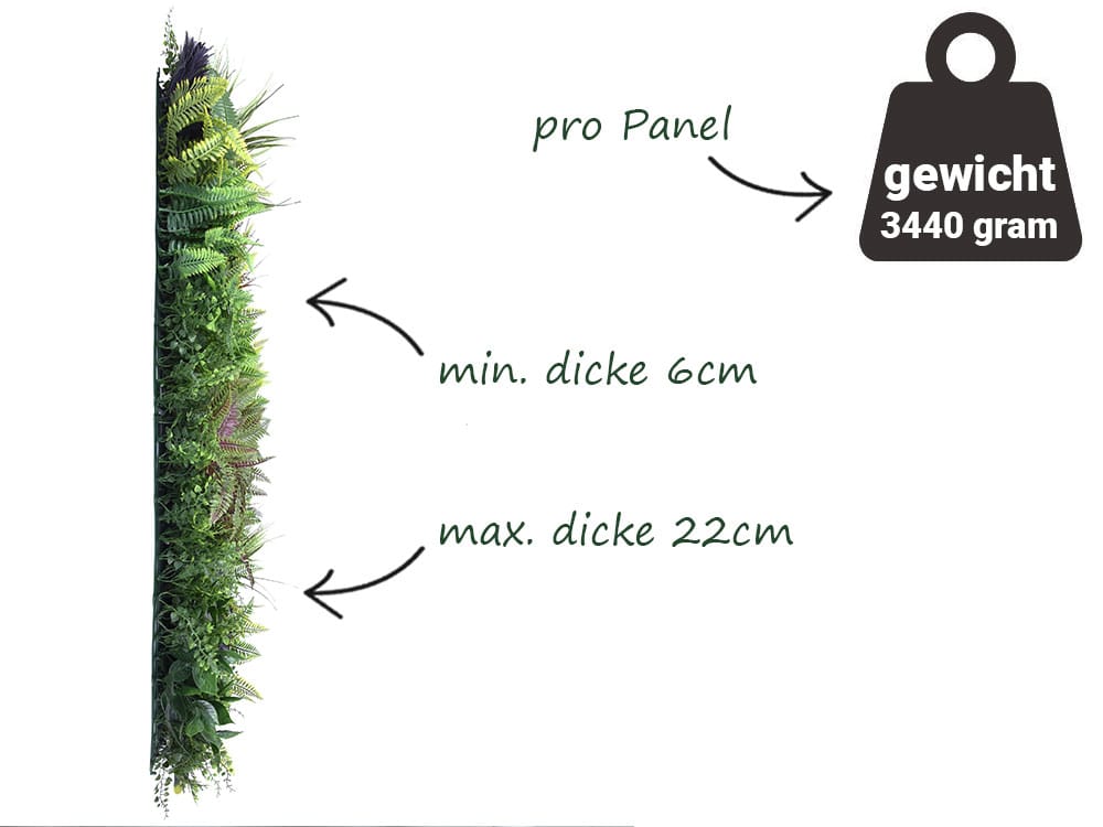 Linaria Grau Farn Pflanzenwand information Linaria Grau Farn Pflanzenwand information