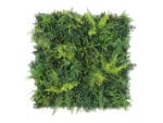 Waldfarne Deluxe Pflanzenwand