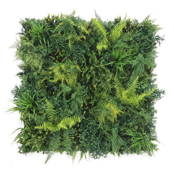 Waldfarne Deluxe Pflanzenwand