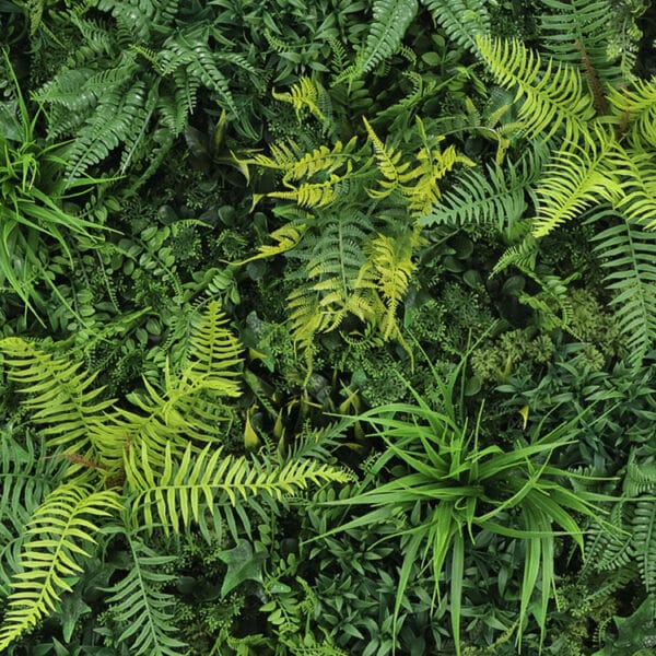 Waldfarne Deluxe Pflanzenwand details