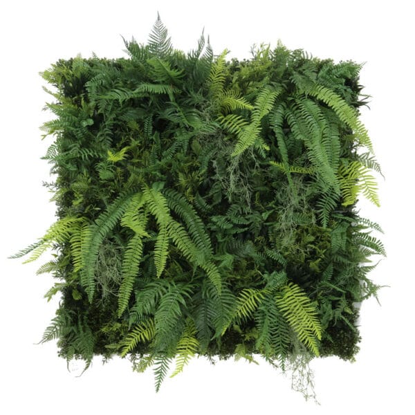 Lanzfarn Forest Royal Pflanzenwand