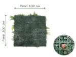 Lanzfarn Forest Royal Pflanzenwand dichte Ruckseite