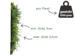 Lanzfarn Forest Royal Pflanzenwand information